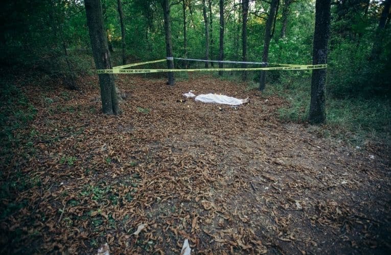 cadavere ritrovato in un bosco