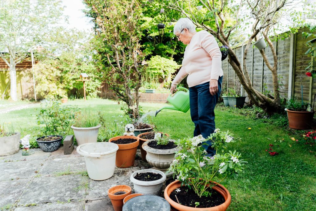 Signora anziana e matura che annaffia i fiori con un innaffiatoio in giardino in una giornata di sole. Vita in pensione.